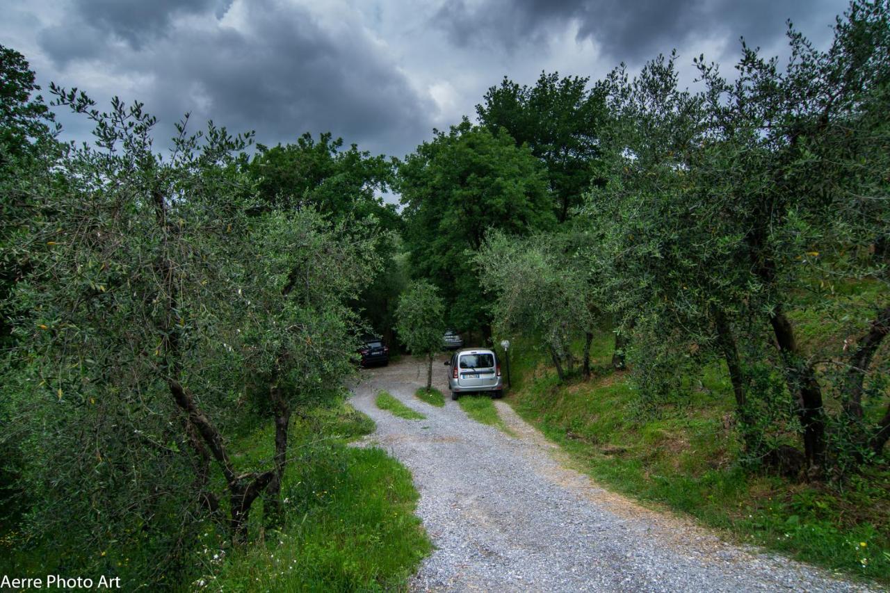 הוילה לוקה La Casina Dei Frati מראה חיצוני תמונה